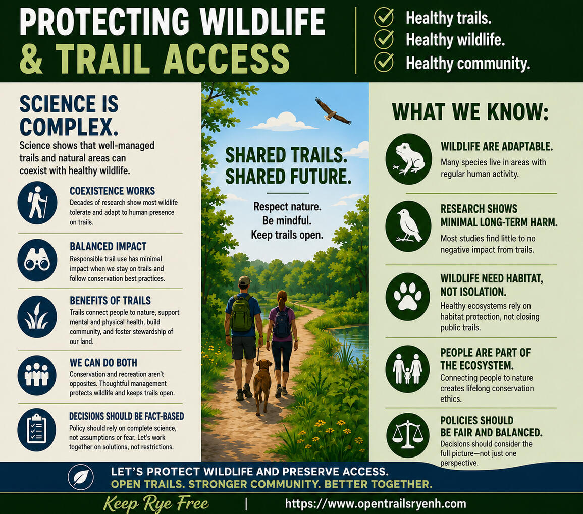 LINK - nature, childhood development, and adult environmental stewardship
