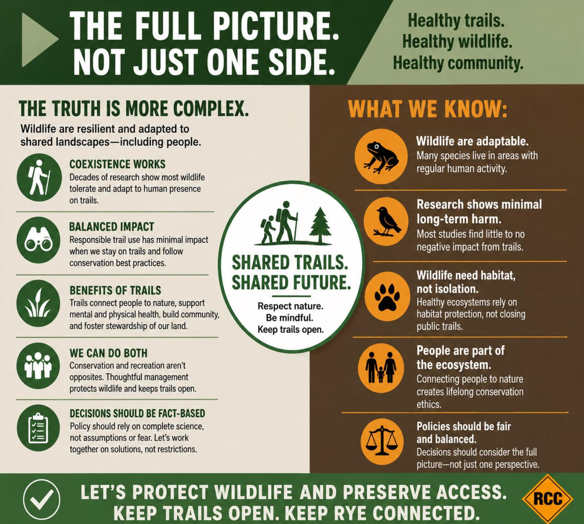 LINK - nature, childhood development, and adult environmental stewardship